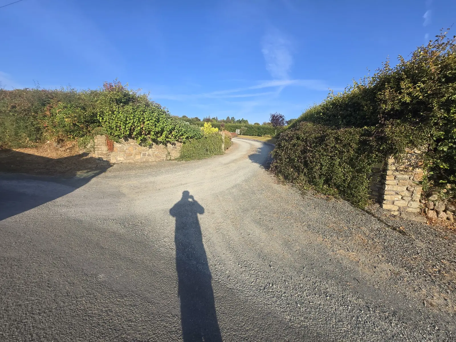 Large Tar & Chip Driveway project by Allsurface Groundworks in County Laois